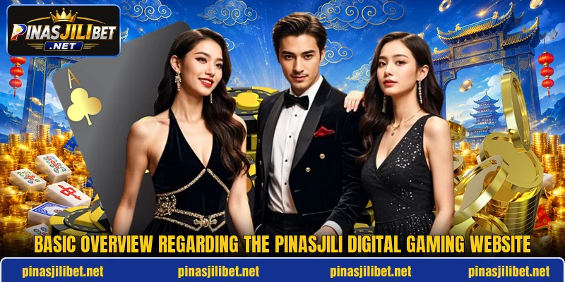 Basic overview regarding the PINASJILI digital gaming website