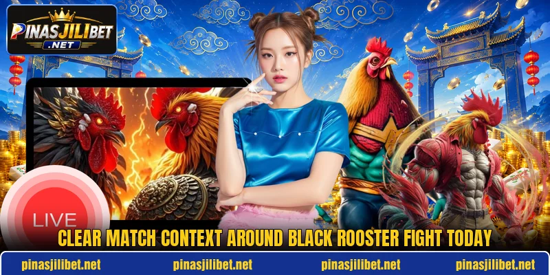 Clear match context around black rooster fight today Clear match context around black rooster fight today